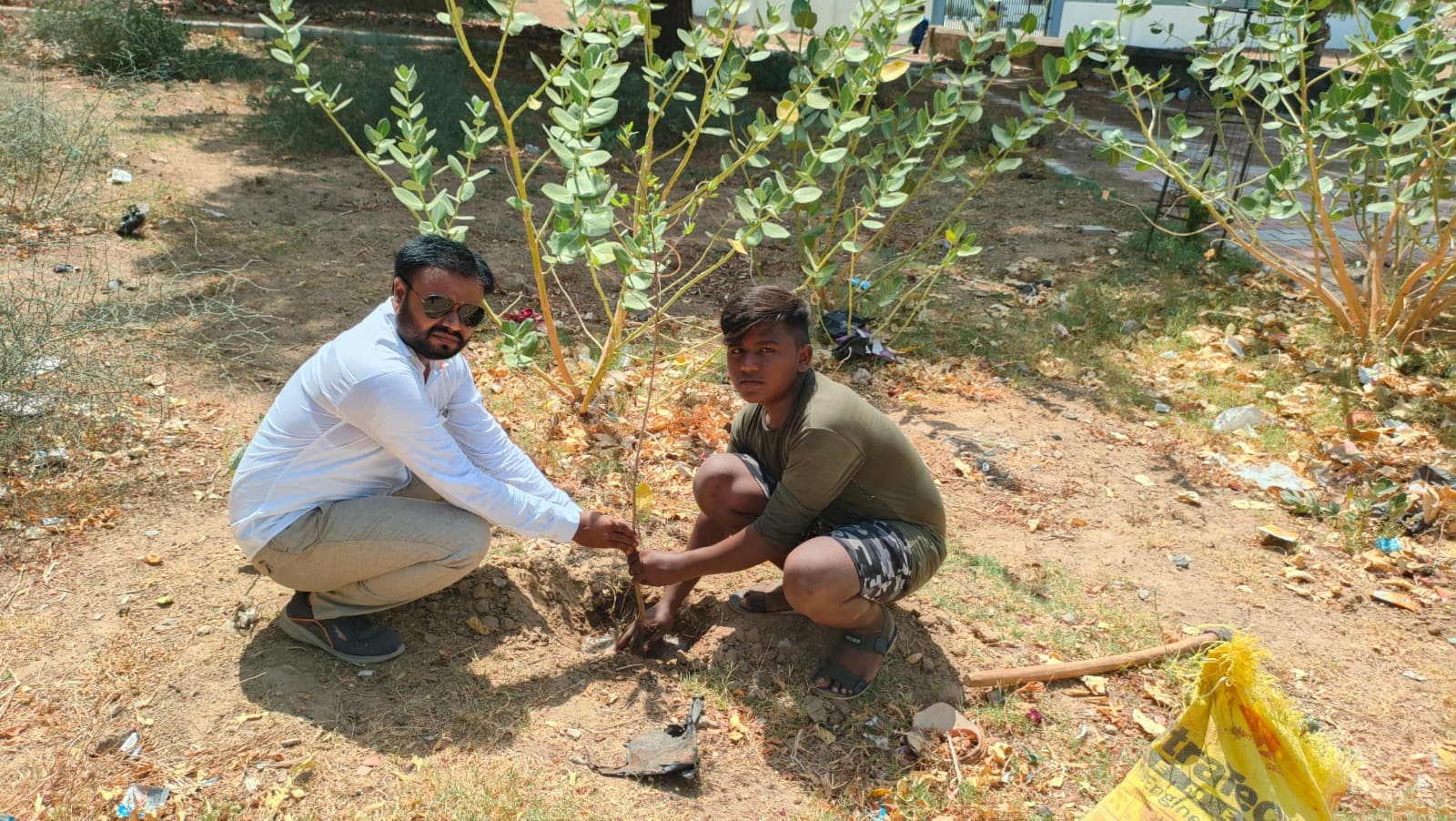 Community Tree Plantation Drive